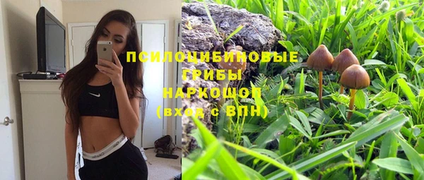 молекула духа Верея