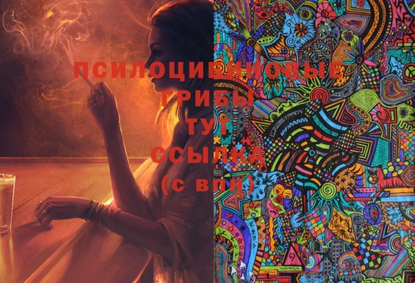 ECSTASY Верхний Тагил