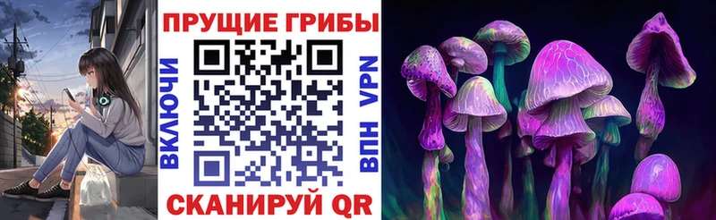 Купить закладки Кострома Галлюциногенные грибы мицелий
